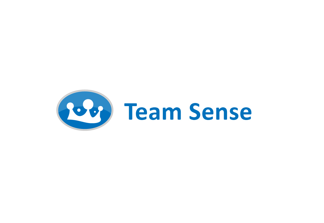логотип Team Sense